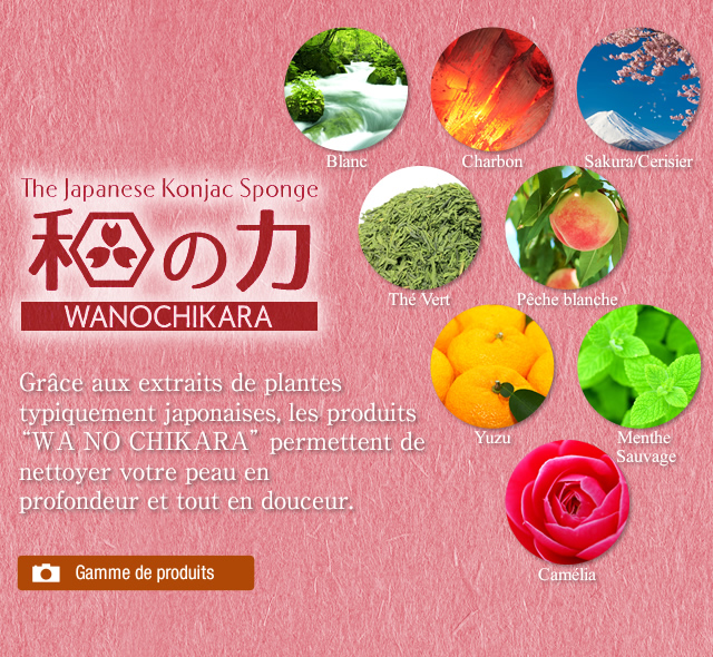 Grâce aux extraits de plantes typiquement japonaises, les produits "WANOCHIKARA" permettent de nettoyer votre peau en profondeur et tout en douceur.