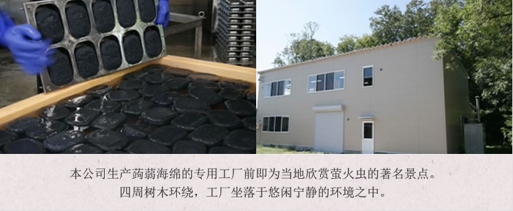本公司生产蒟蒻海绵的专用工厂前即为当地欣赏萤火虫的著名景点。四周树木环绕,工厂坐落于悠闲宁静的环境之中。