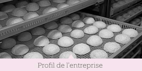 Profil de l'entreprise