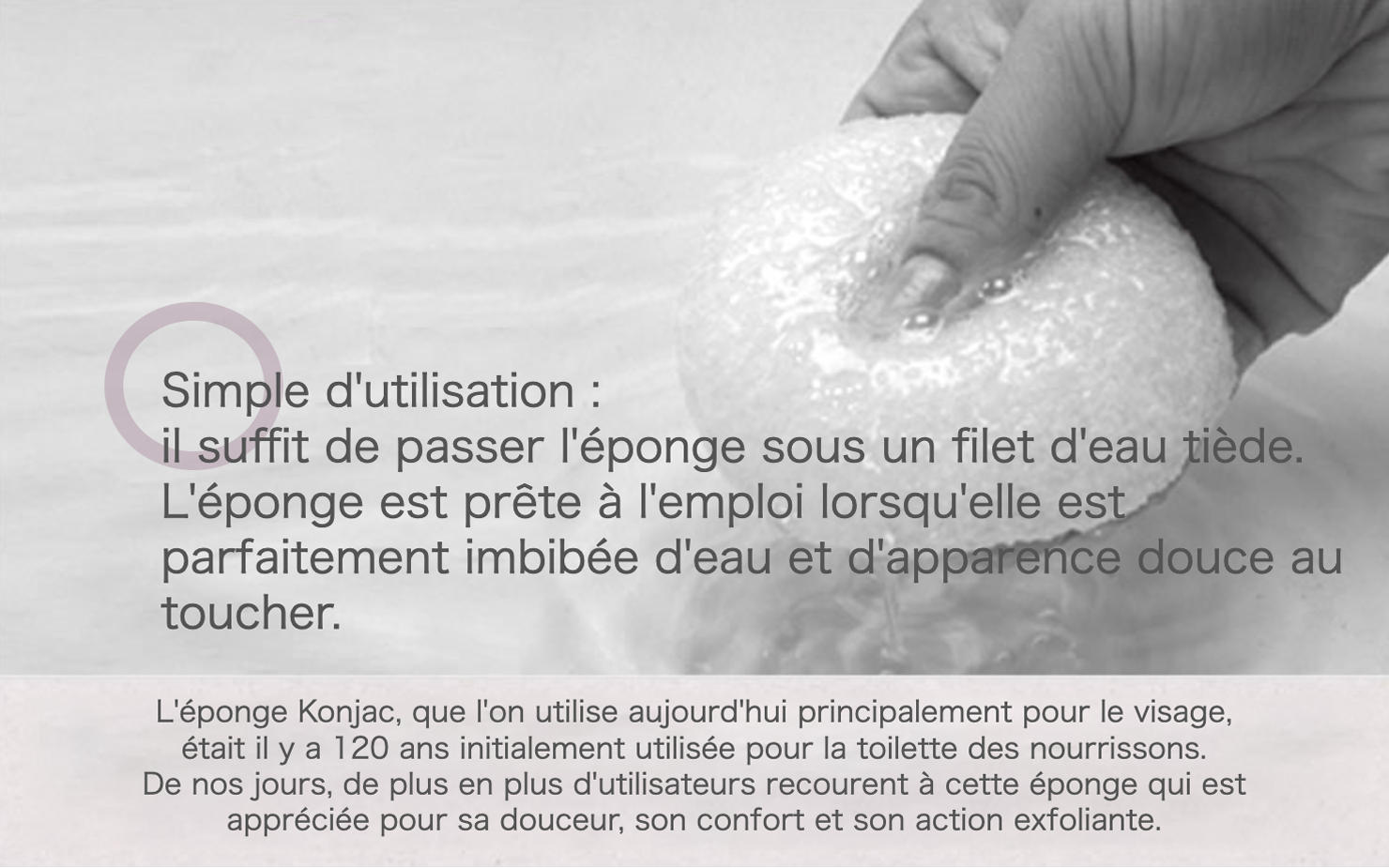 By saturating the Konjac Sponge in hot water, it will quickly become soft and spongy.