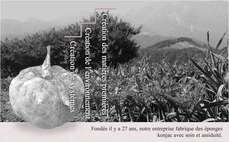 Création des matières premières Création de l’environnement Création de systèmes