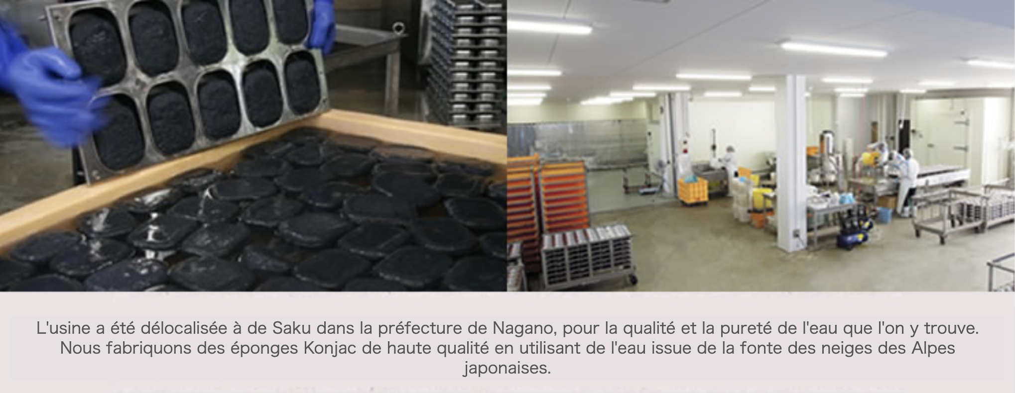 We moved our factory to Nagano prefecture in search of better quality water. We continue to make high-quality konjac sponges using the melted snow water of the Japanese Alps.