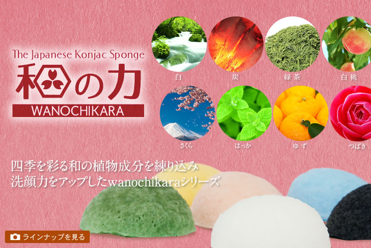 四季を彩る和の植物成分を練り込み洗顔力をアップしたwanochikaraシリーズ